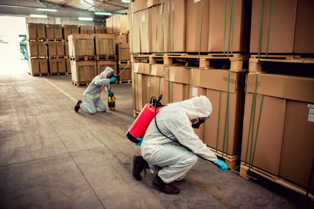 Best Wasp Removal Services  in Auburn, NY