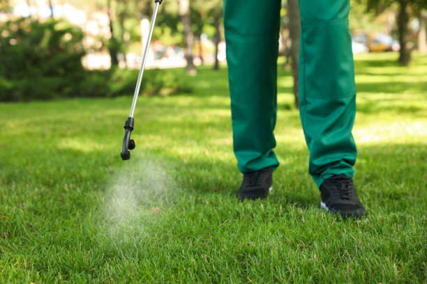 Best Exterminator Services  in Auburn, NY