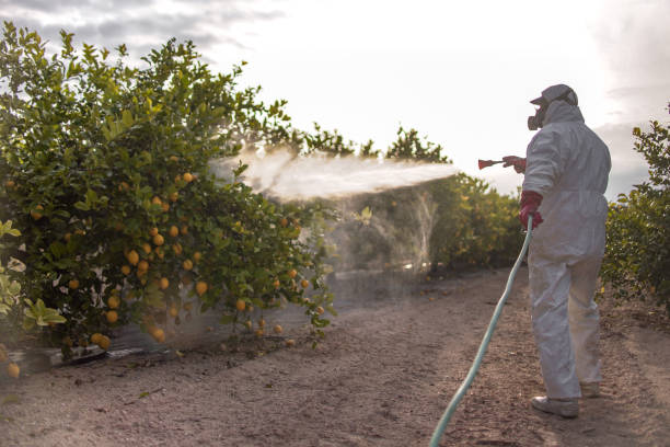 Best Cockroach Control Services  in Auburn, NY