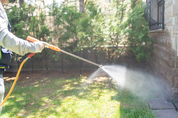 Spider Control Near Me in Auburn, NY