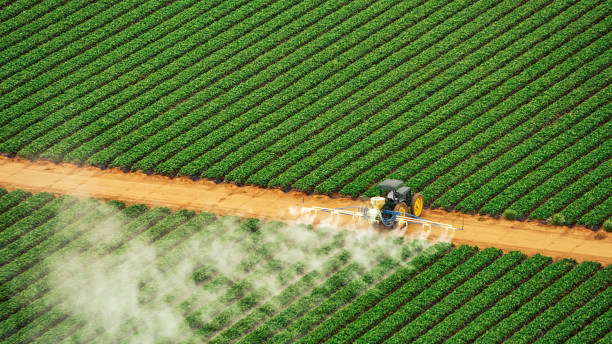 Best Pest Control Treatment  in Auburn, NY