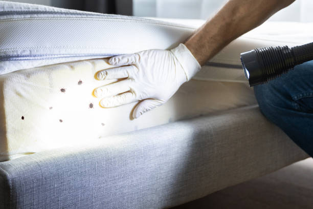 Best Pest Control Near Me in Auburn, NY