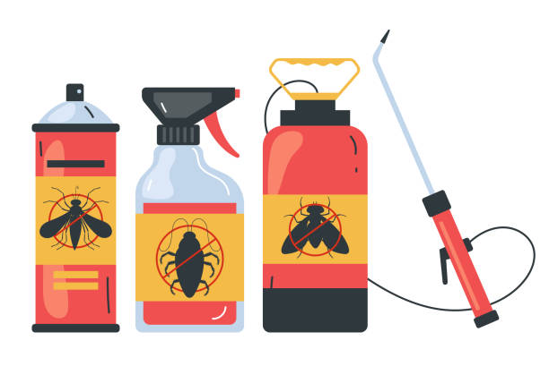 Best Ant Control Services  in Auburn, NY