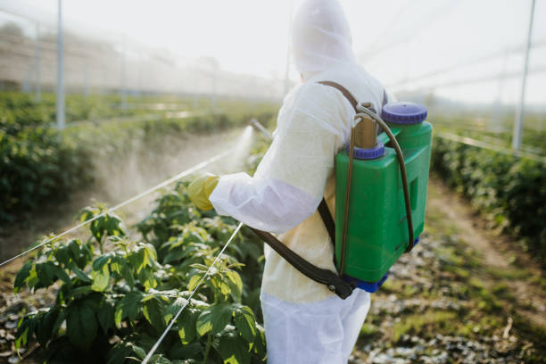 Best Affordable Pest Control Services  in Auburn, NY
